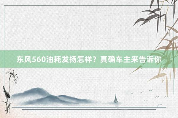 东风560油耗发扬怎样？真确车主来告诉你