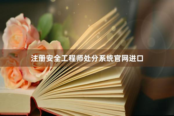 注册安全工程师处分系统官网进口