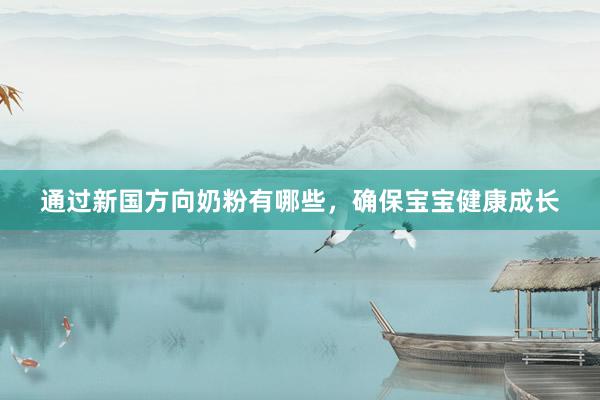 通过新国方向奶粉有哪些，确保宝宝健康成长