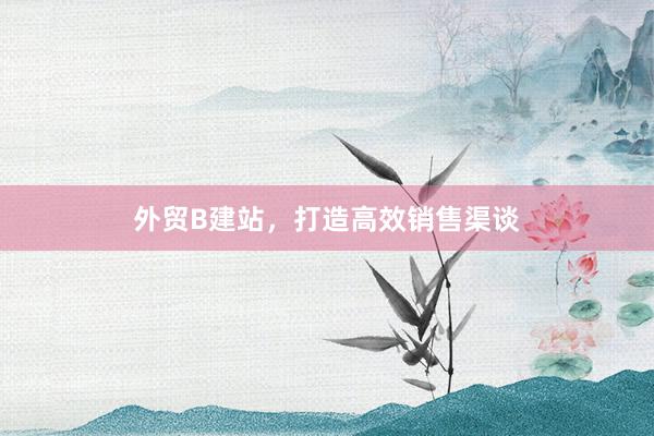 外贸B建站，打造高效销售渠谈